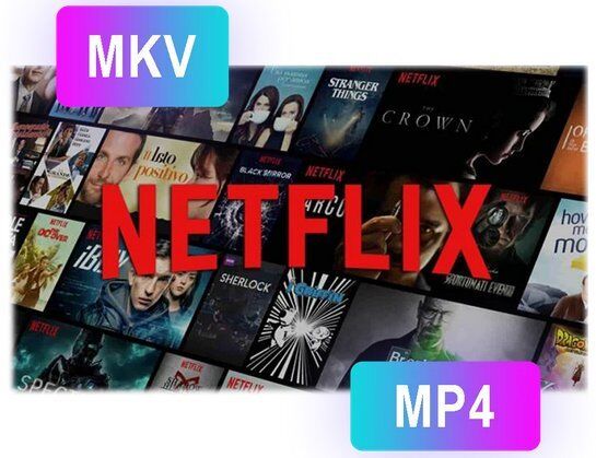 Pazu Netflix Video Downloader